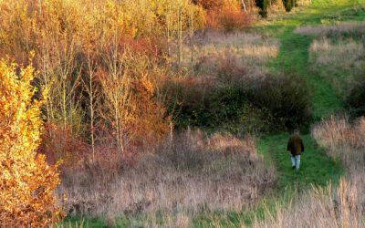 Peaceful Walks in South Kesteven