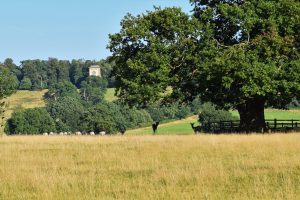 Bellmount Tower