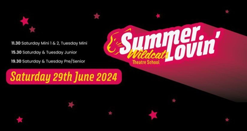wildcats-summer-lovin