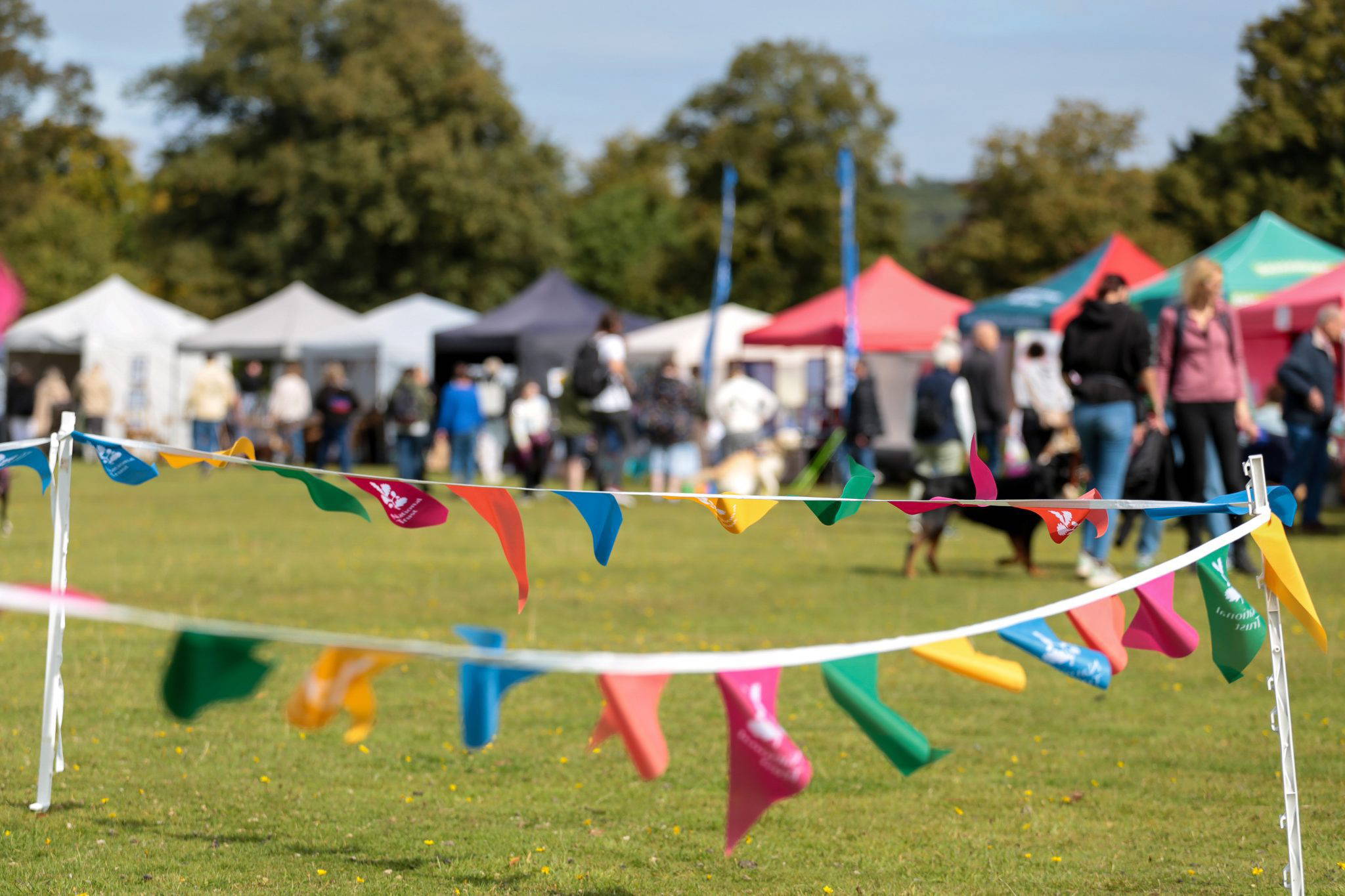 Stalls at Belton Community Festival credit Instinctive Photography