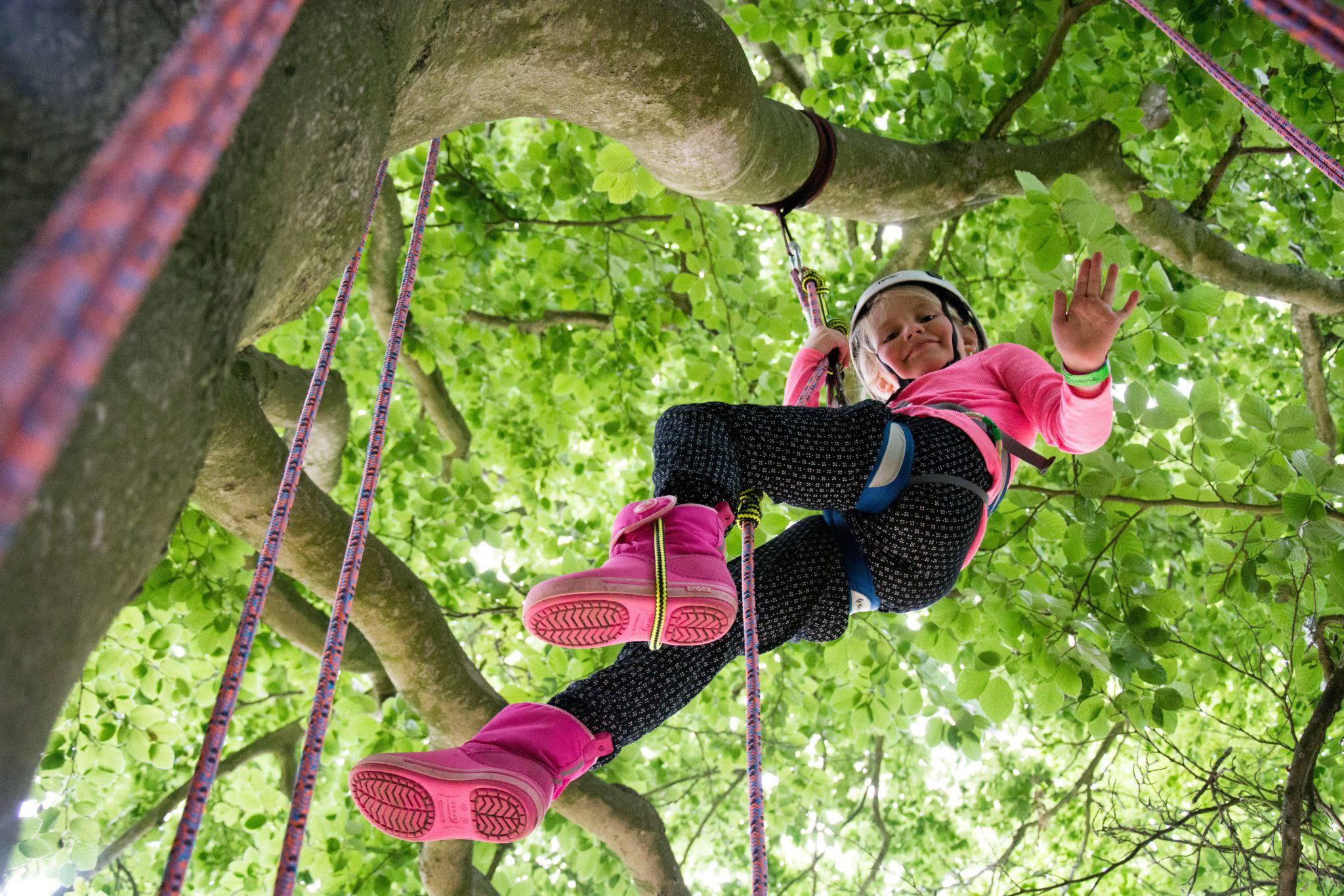 Big Tree Climbing